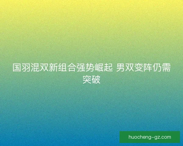 国羽混双新组合强势崛起 男双变阵仍需突破
